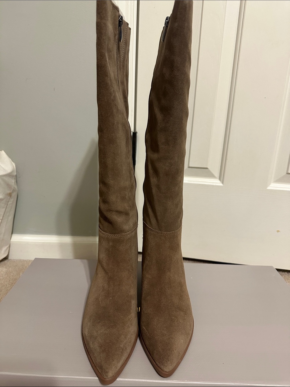 Franco Sarto Tall Suede Pointed Toe Boots in Taupe Brown